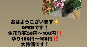 本日周年祭開催中です‼️